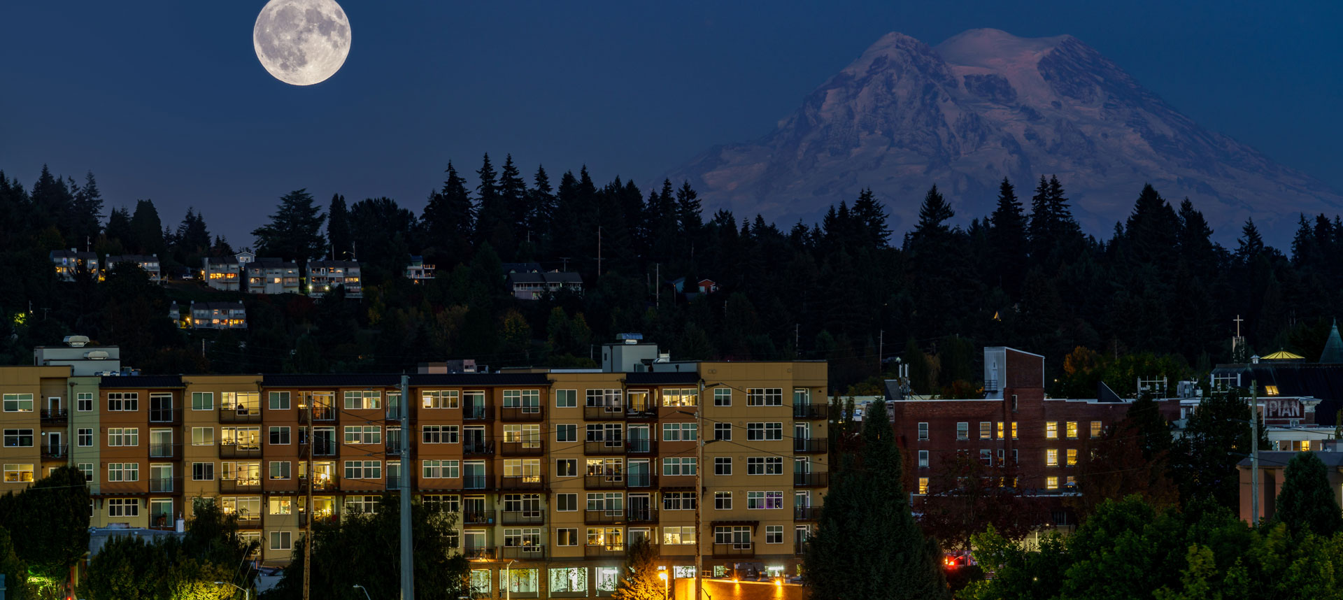 Olympia Washgington skyline at night